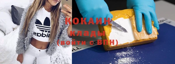 сатива Абаза