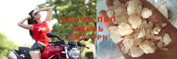 сатива Абаза