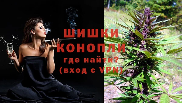 сатива Абаза