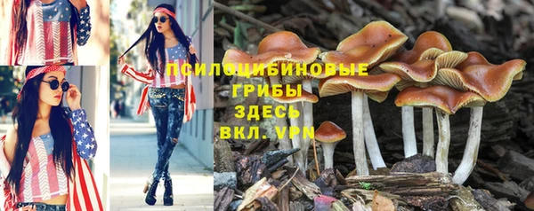 бошки Алексин