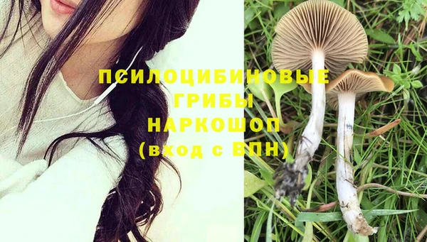 тгк Абдулино