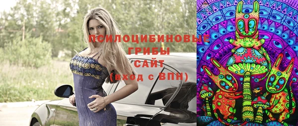 сатива Абаза