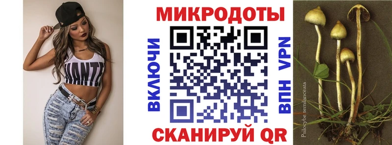 наркота  Кимовск  Псилоцибиновые грибы мицелий 